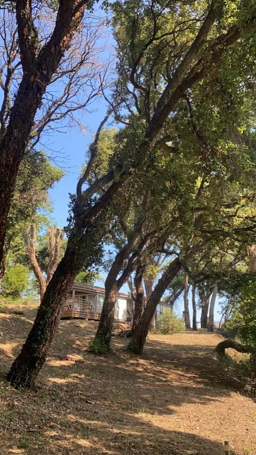 Les Chalets Des Iles Borgo  Exterior foto